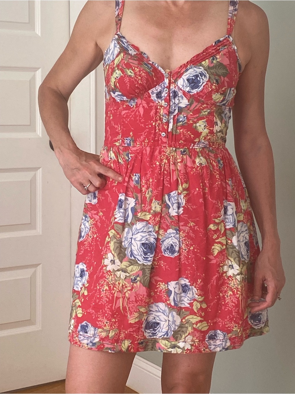 Abercrombie & Fitch Red Floral Mini Dress with Blue Roses